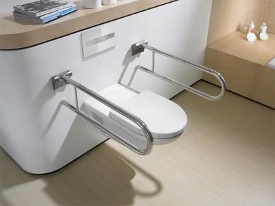 grab bars 